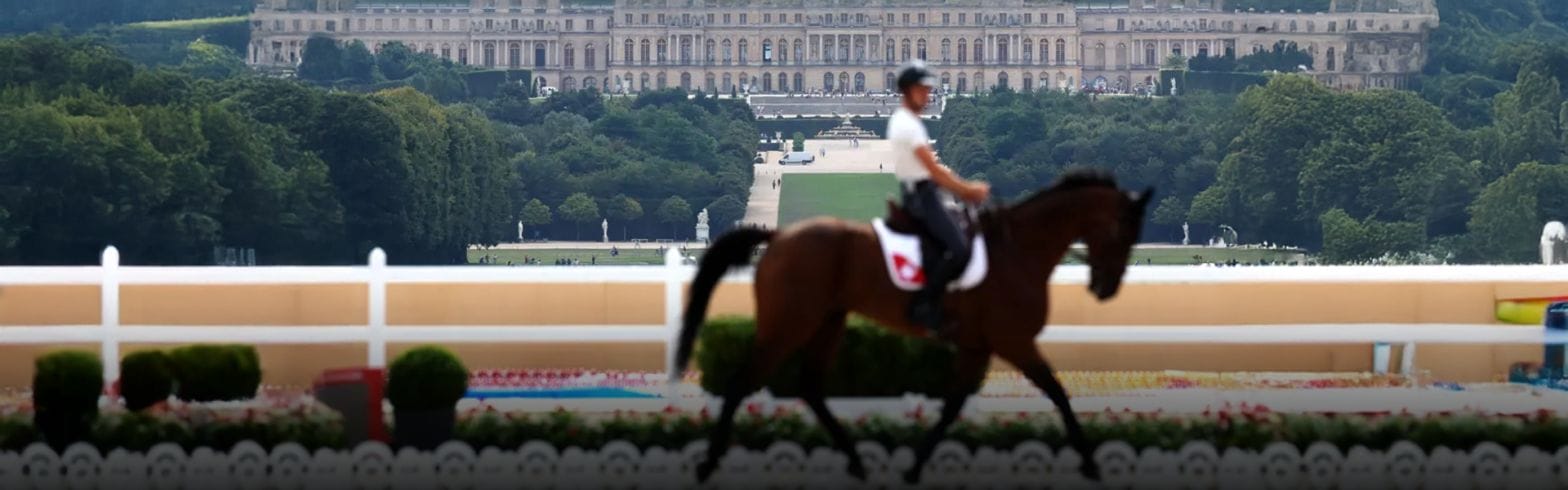 Horse abuse sanctions strengthened after scandals 1 14 10