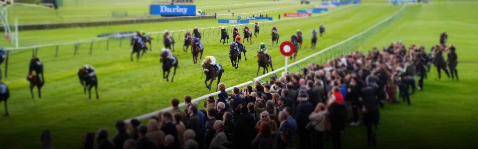 Cesarewitch result changed for second time to put whip rules back in spotlight 1 21 14