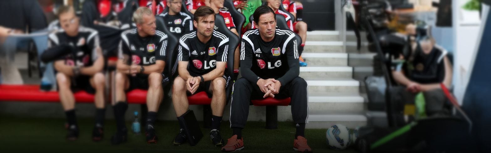 Brighton hire Niedzkowski as assistant head coach 1 56 3