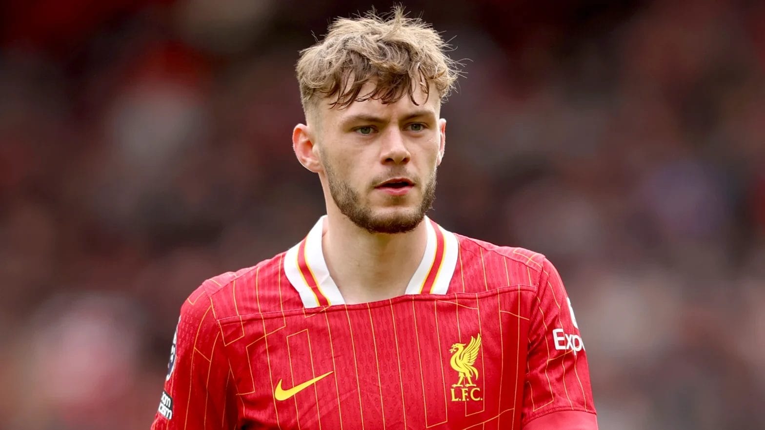 Arne Slot was full of praise for Liverpool full-back Conor Bradley / Sportsphoto/Allstar/GettyImages