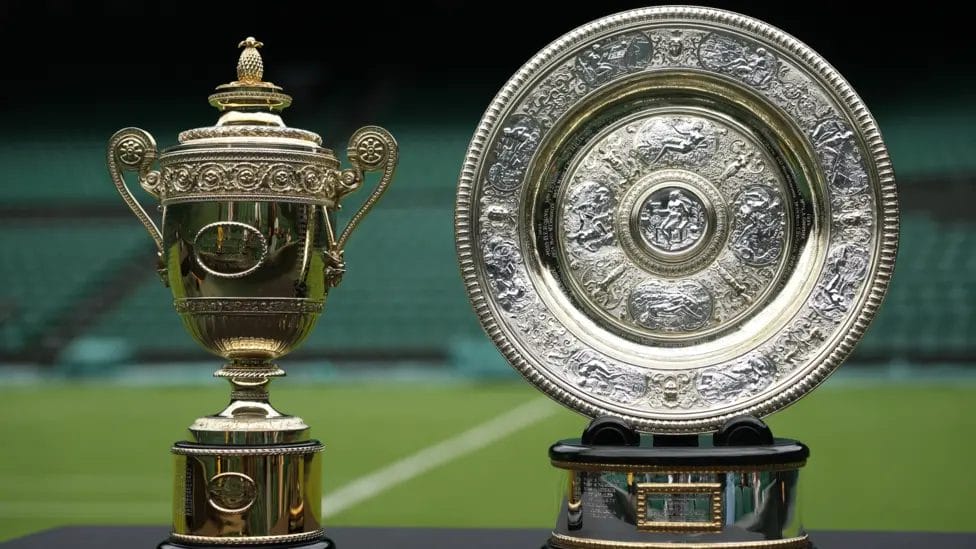 The men's and women's singles champions at Wimbledon will each earn £3m